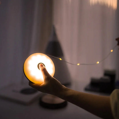 Portable Outdoor LED Camp Light
