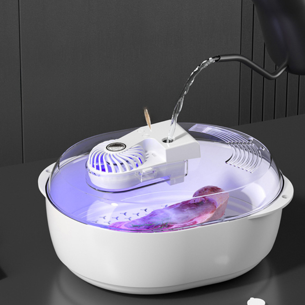 Fast 6-in-1 Food Defroster for Home Use