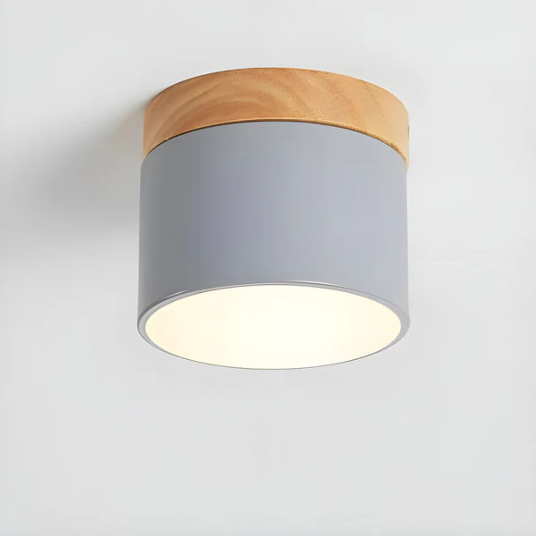 Classic Retro LED Ceiling Light