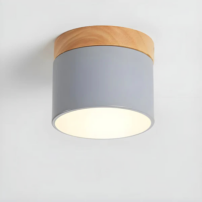 Classic Retro LED Ceiling Light