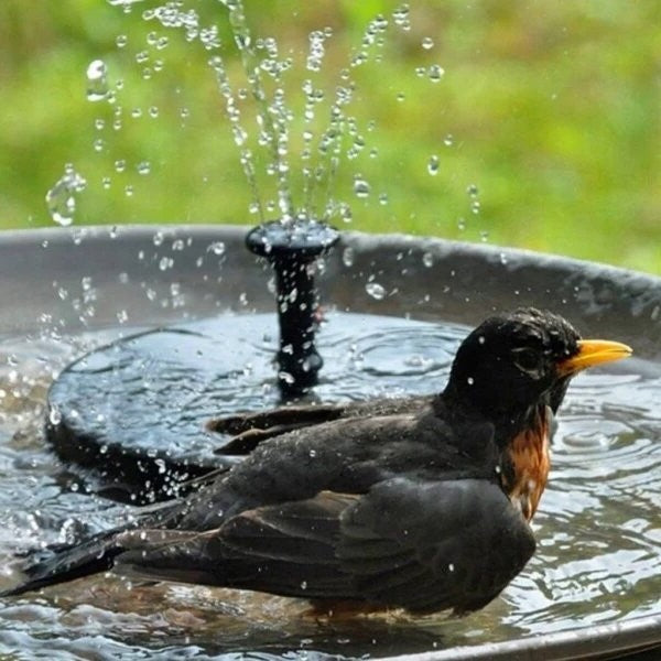 Outdoor Water Fountain Feature