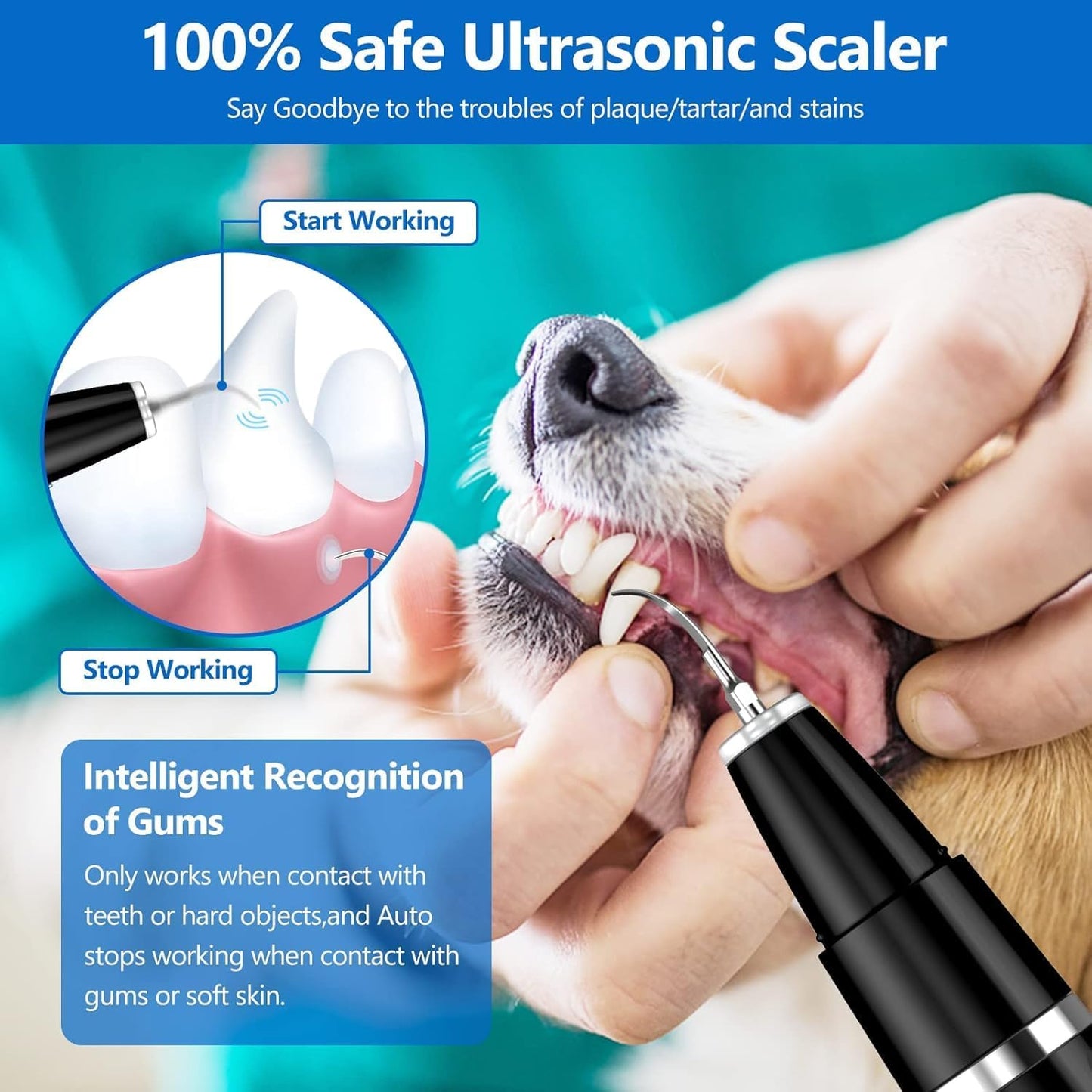 Easy Pet Dental Care Toothbrush