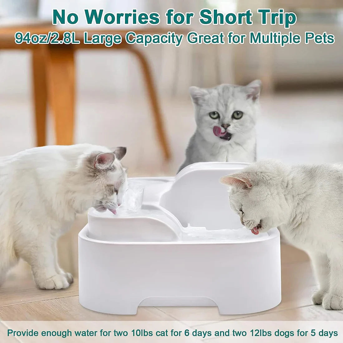 Automatic Water Fountain for Cats and Dogs