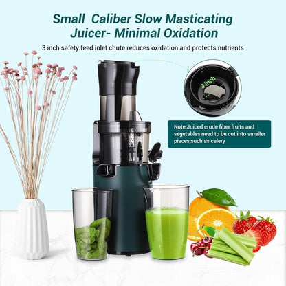 Powerful Slow Masticating Juice Extractor