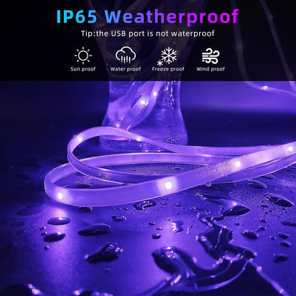 Color Changing LED Lights with Remote