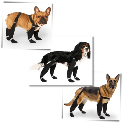 Waterproof Puppy Suspension Boots