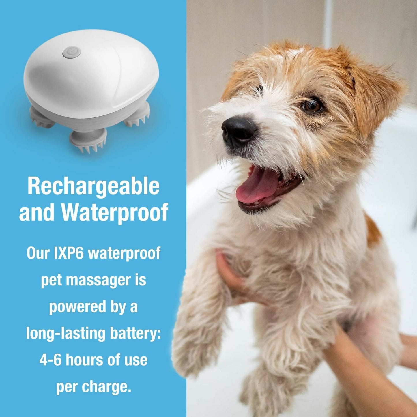 Relaxing Pet Grooming Tool