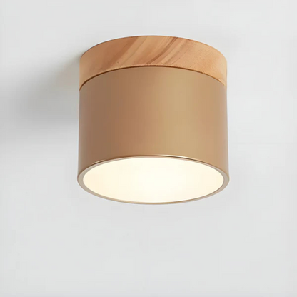 Classic Retro LED Ceiling Light