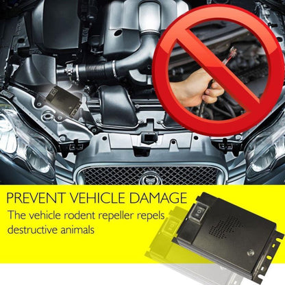 Compact Car Rodent Repeller | Best Auto Pest Control