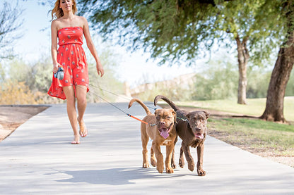 Easy Walk Double Dog Leash - Tangle Free Pet Lead