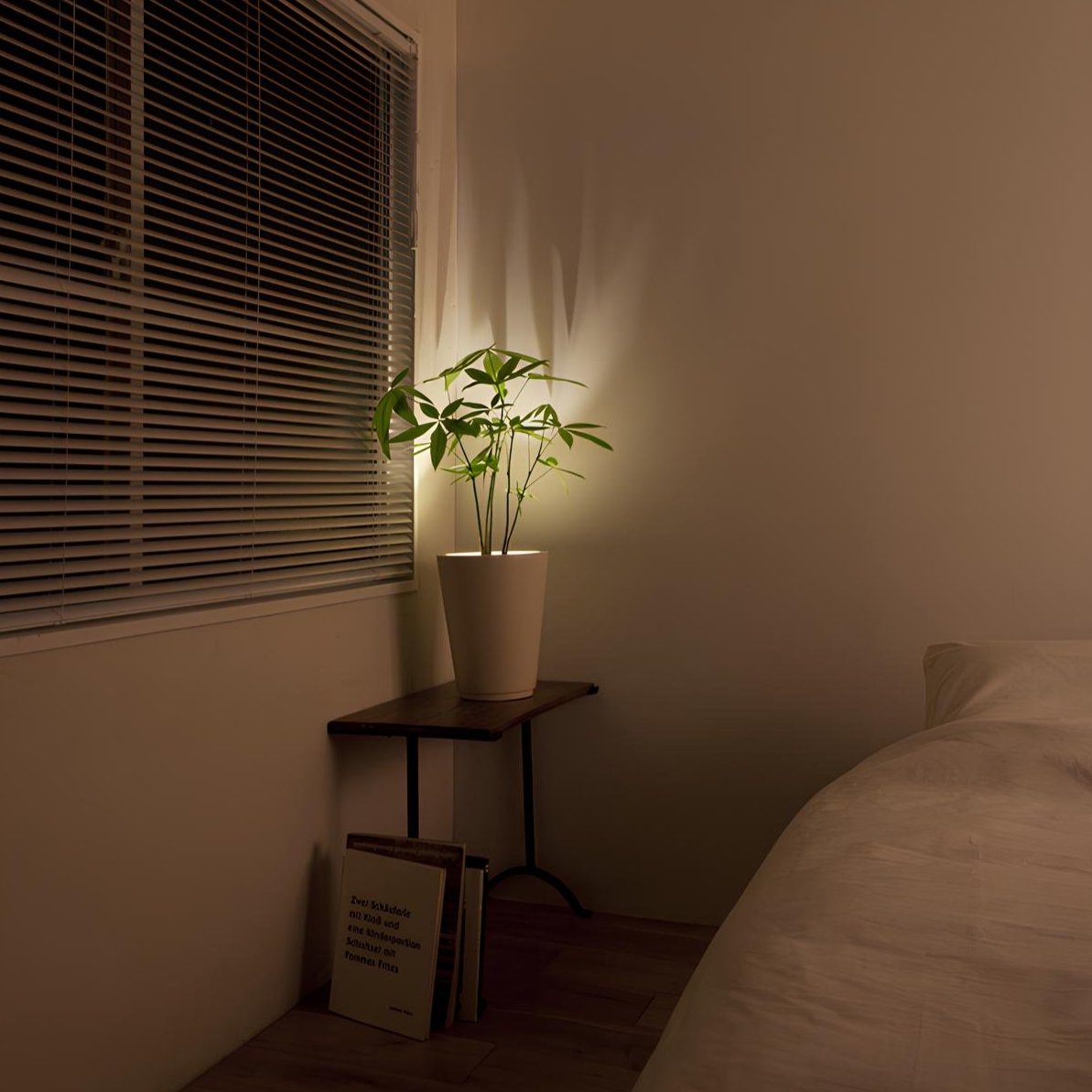 LED Wall Light with Remote Control