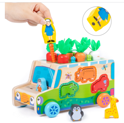 Educational Wooden Play Set for Curious Kids - Halri