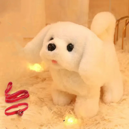 Fun Pet Plush Toy