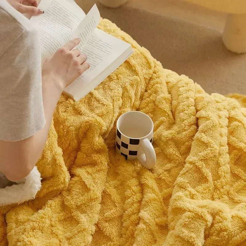 Warm Plush Throw Blanket with Thick Wool Layer