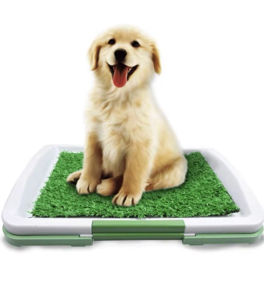 Pet Grass Training Litter Box - Halri
