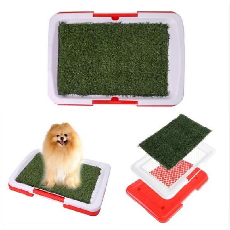 Pet Grass Training Litter Box