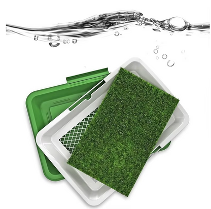 Pet Grass Training Litter Box