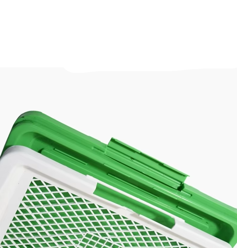 Pet Grass Training Litter Box