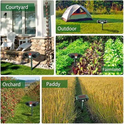 Outdoor Animal Repellent with Motion Sensor Lights