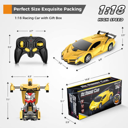 Fast RC Remote Control Racing Car 2 in 1 Toy
