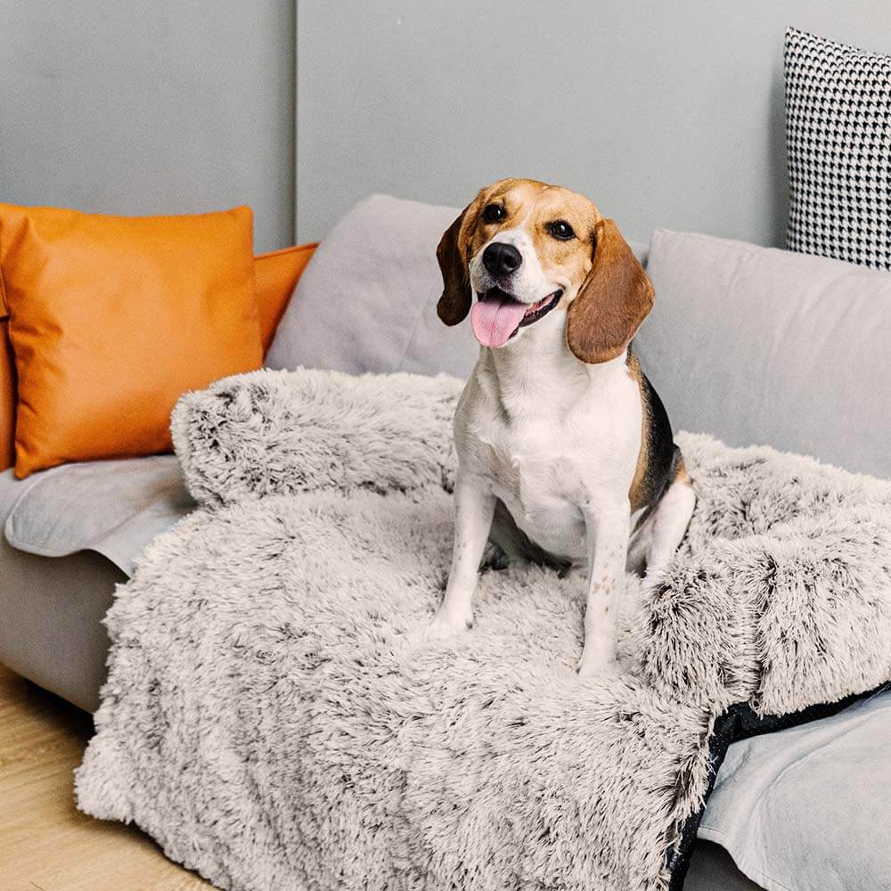Comfortable Pet Sofa Bed - Plush Dog Cushion - Halri