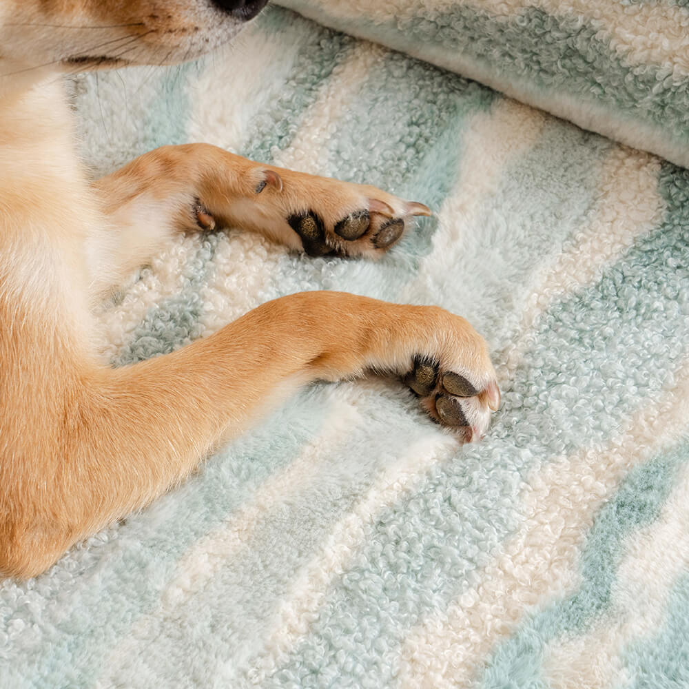Comfortable Pet Sofa with Soft Wool Cushion