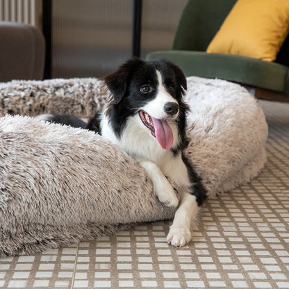 Extra Large Plush Orthopedic Dog Bed