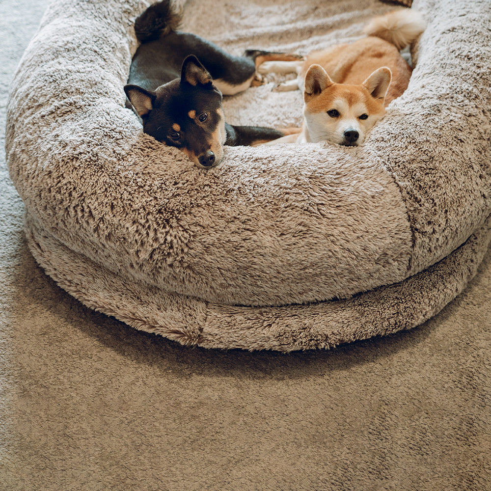 Extra Large Plush Orthopedic Dog Bed