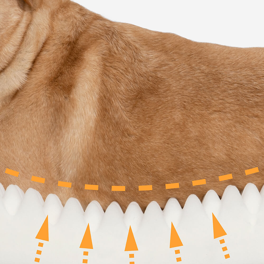 Comfy Dog Donut Bed