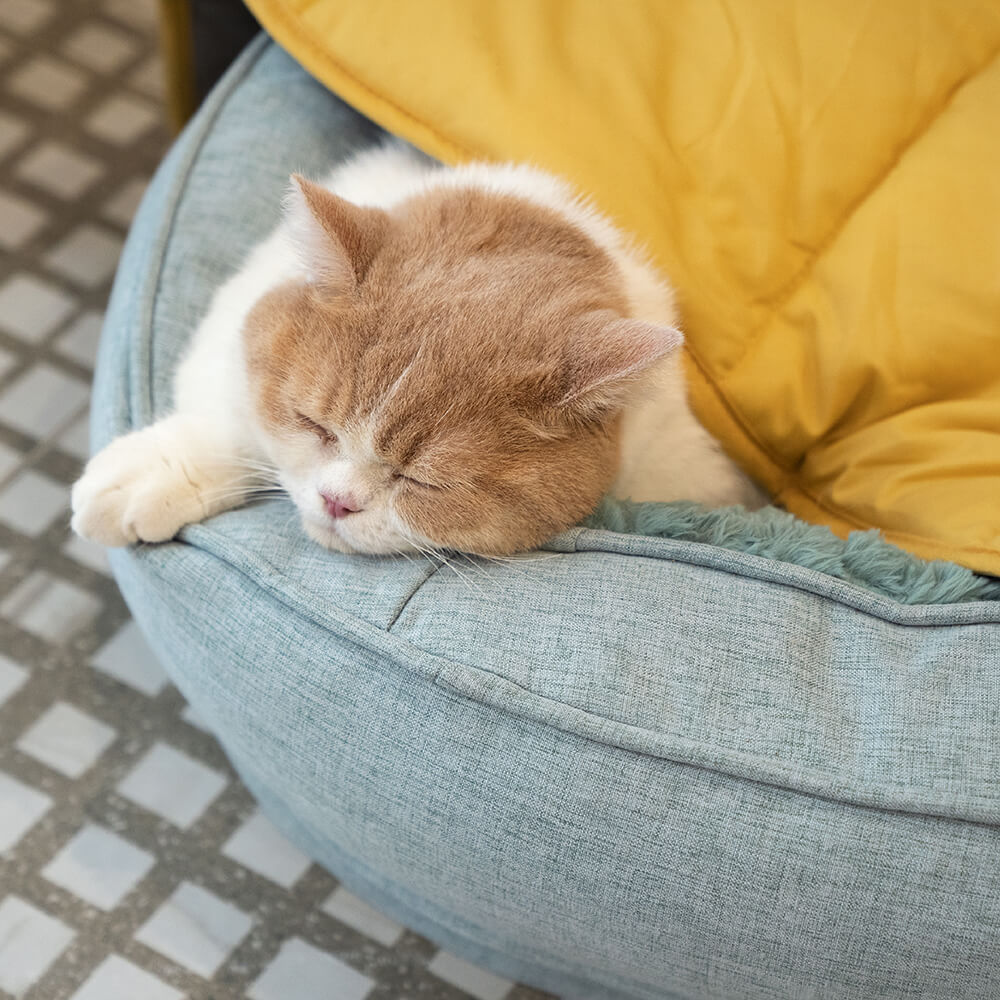 Plush Comfortable Orthopedic Pet Bed