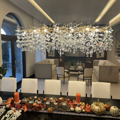 Elegant Crystal Drop Ceiling Light Fixture