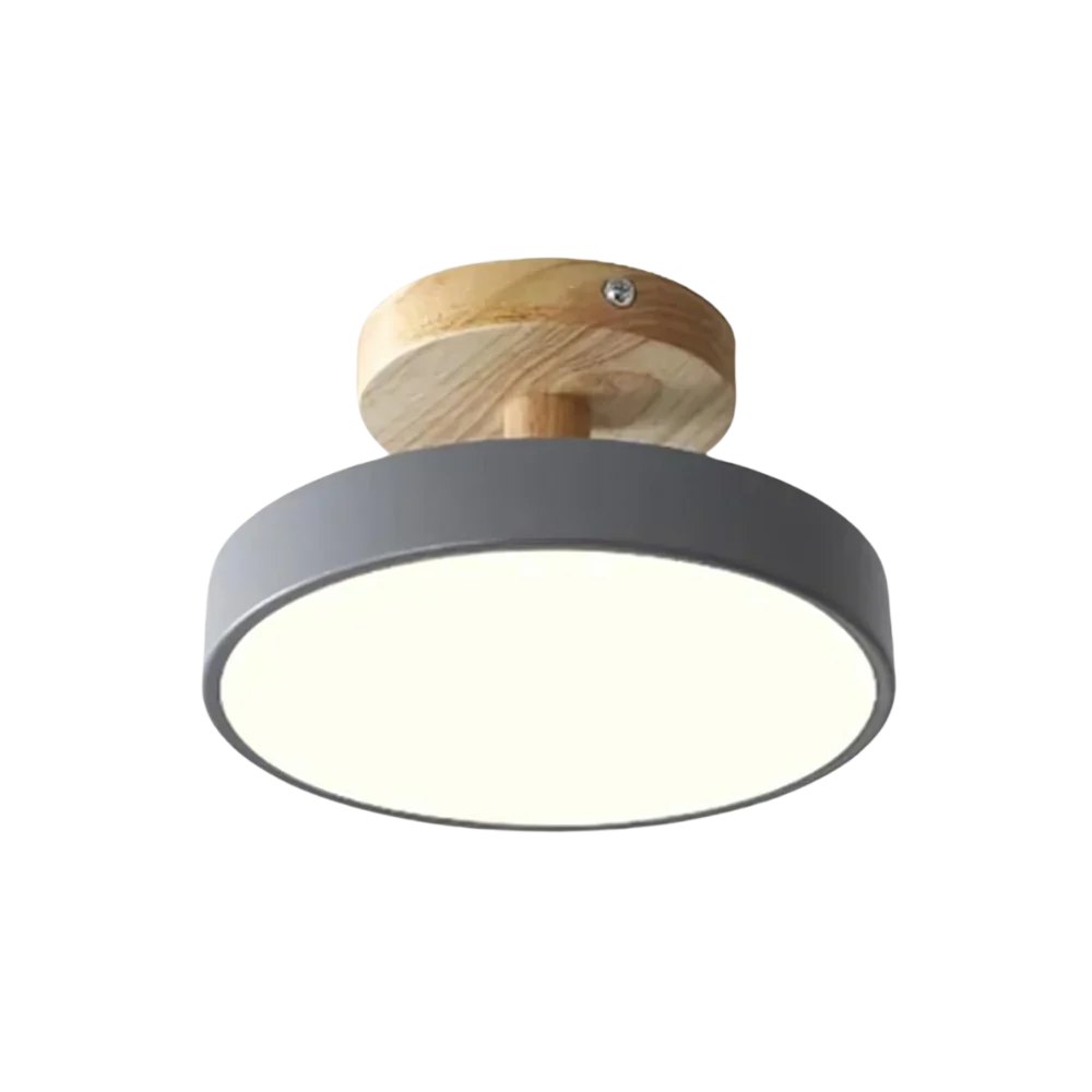 Slim Contemporary LED Ceiling Light
