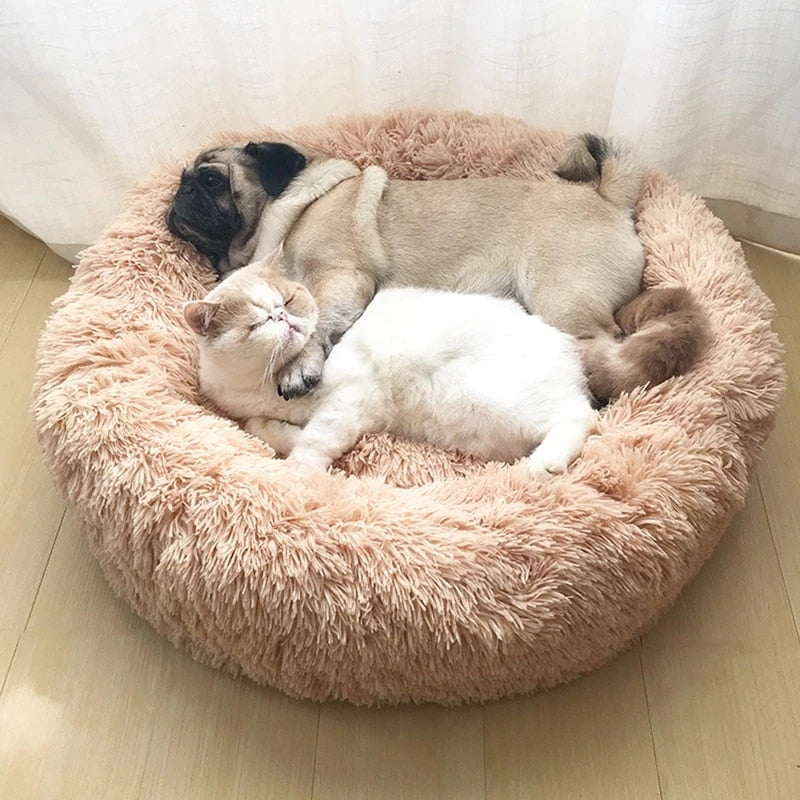 Comfy Pet Doughnut Bed - Halri