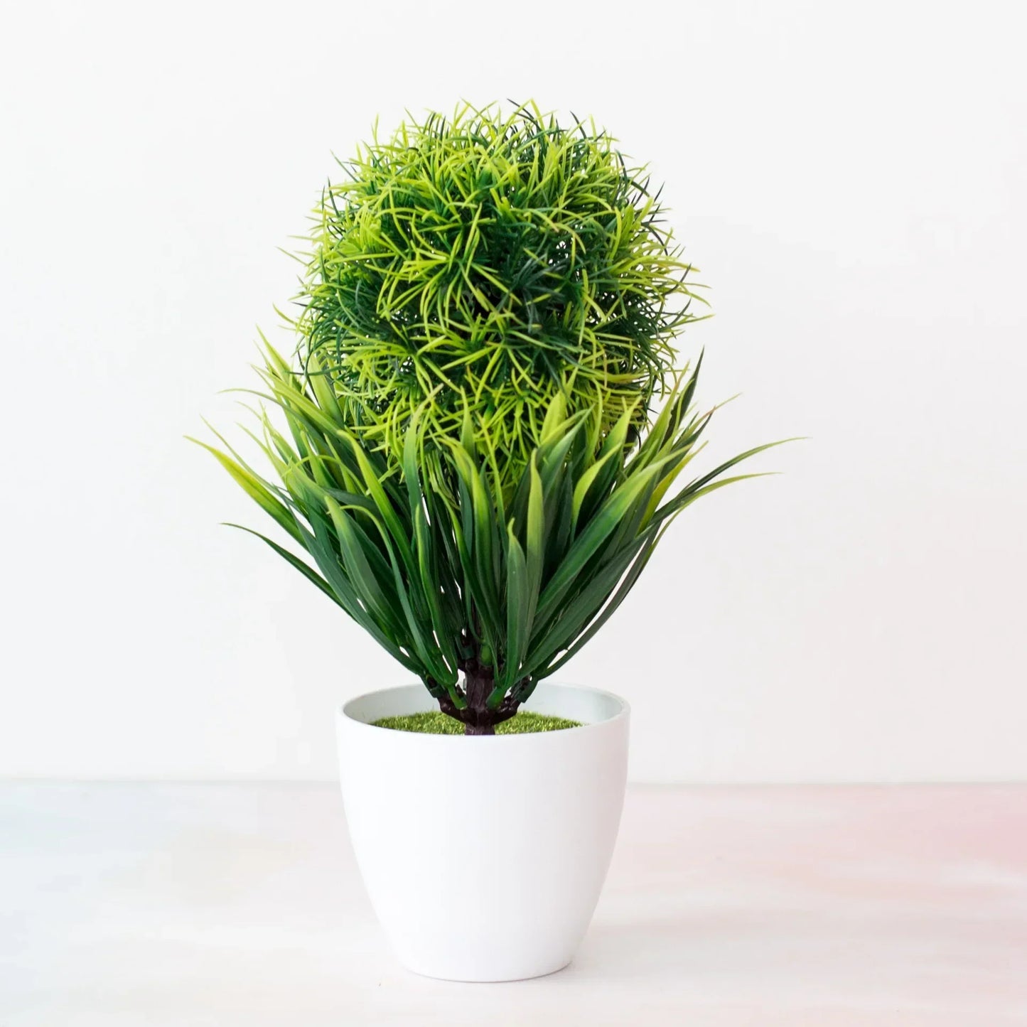 Mini Indoor Bonsai Tree Planters
