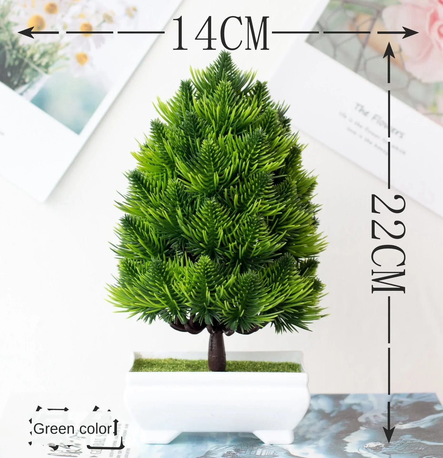 Mini Indoor Bonsai Tree Planters