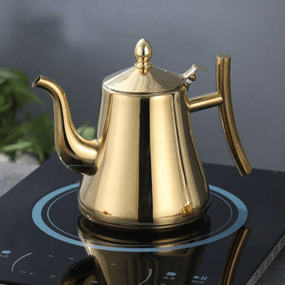 Fast Boil Stainless Steel Kettle – Sleek Pour Over Tea Brewer - Halri