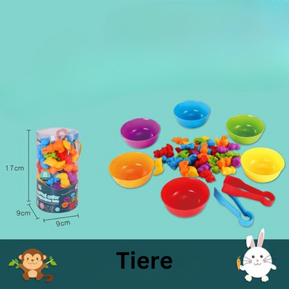 Educational Kids Sorting Toy Set