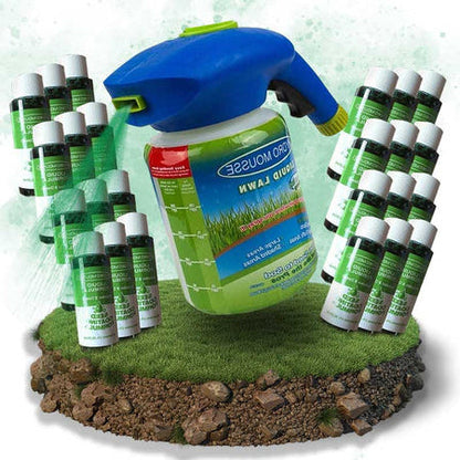 Fast Growing Grass Seed Spray for Lawn Repair