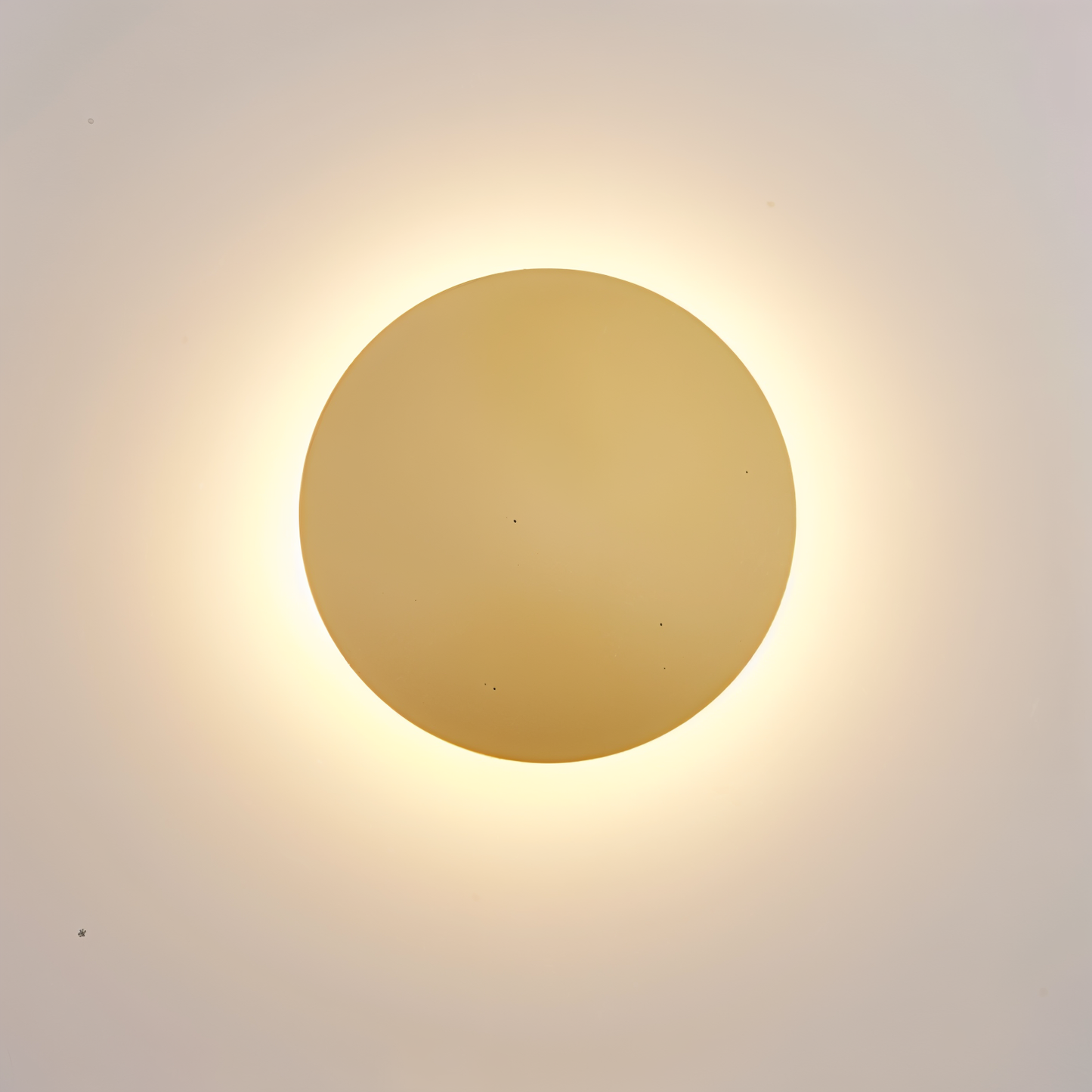 Simple LED Wall Light - Contemporary Sconce Fixture - Halri