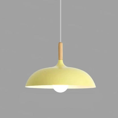 Modern Oak LED Ceiling Light Fixtures