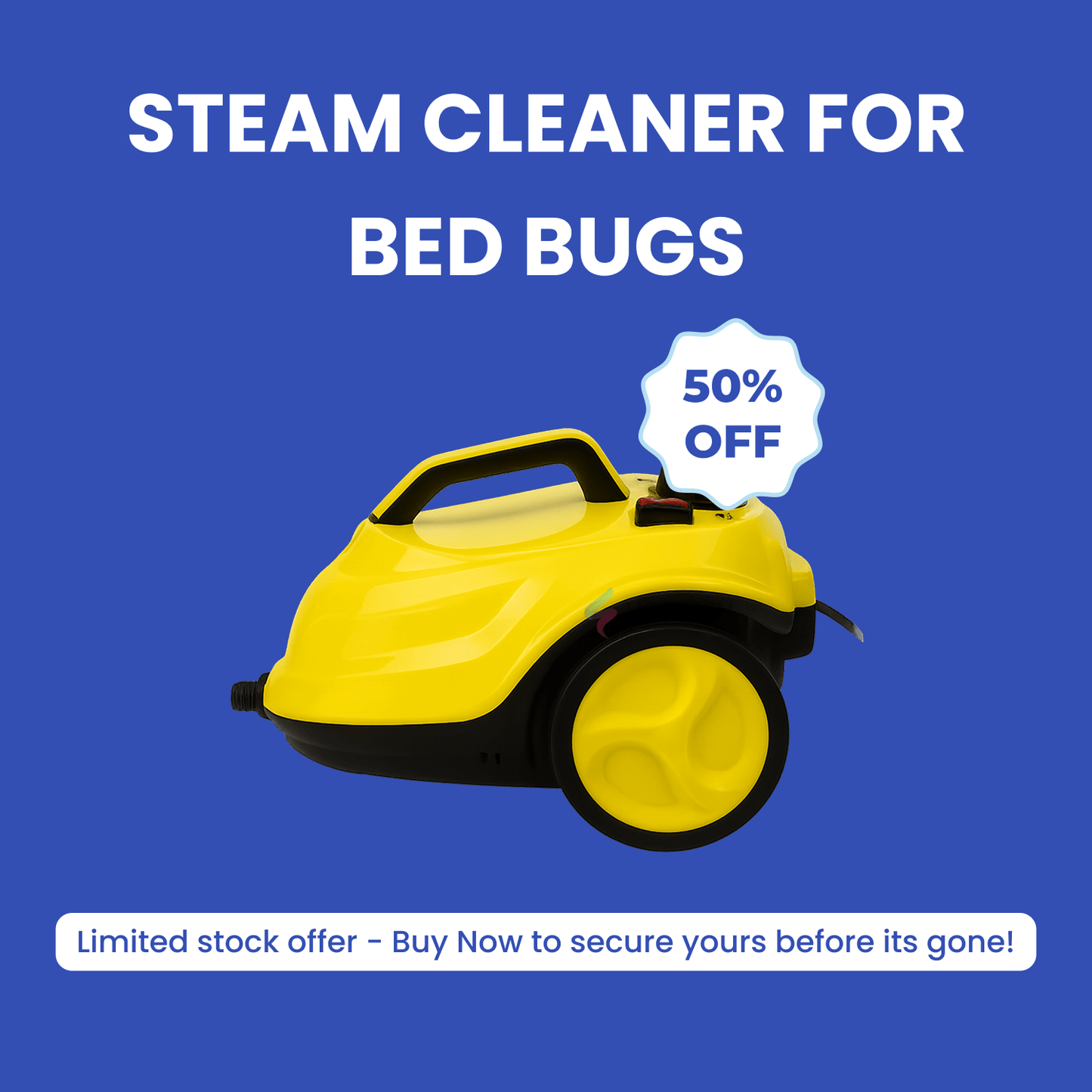 Powerful Bed Bug Steam Cleaner for Home Use