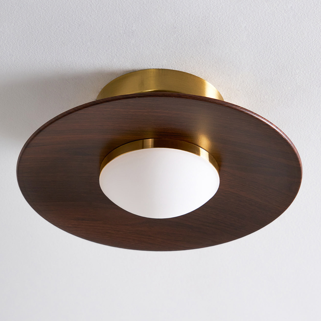 Airy Modern Ceiling Light