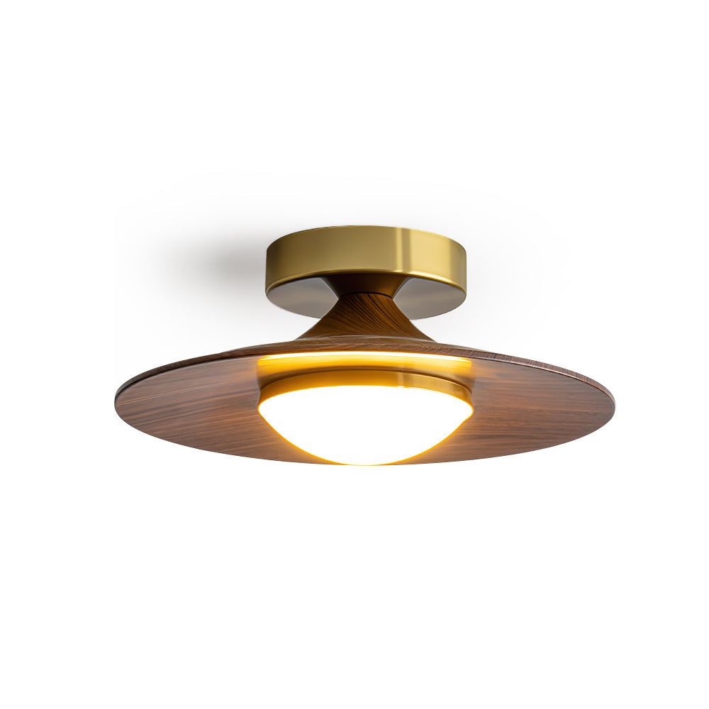 Airy Modern Ceiling Light