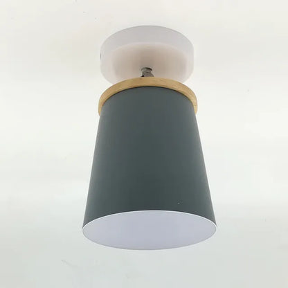 Pretty LED Ceiling Light Fixture