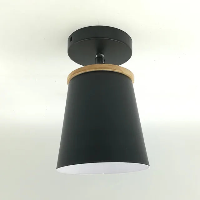 Pretty LED Ceiling Light Fixture