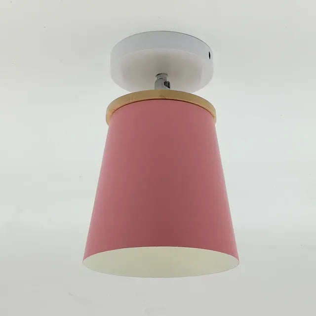 Pretty LED Ceiling Light Fixture