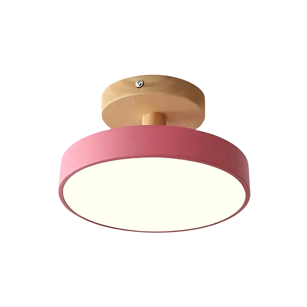Slim Contemporary LED Ceiling Light