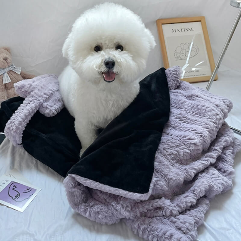 Soft Pink Cozy Pet Bed with Cushion & Throw