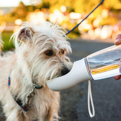 Compact Pet Water Bottle - Spill Proof Travel Dog Bowl