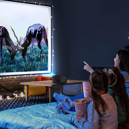 Two people watching a nature documentary on a projector screen in a cozy room.